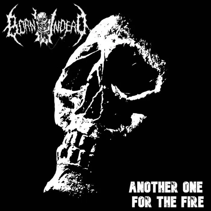 Another One for the Fire cover