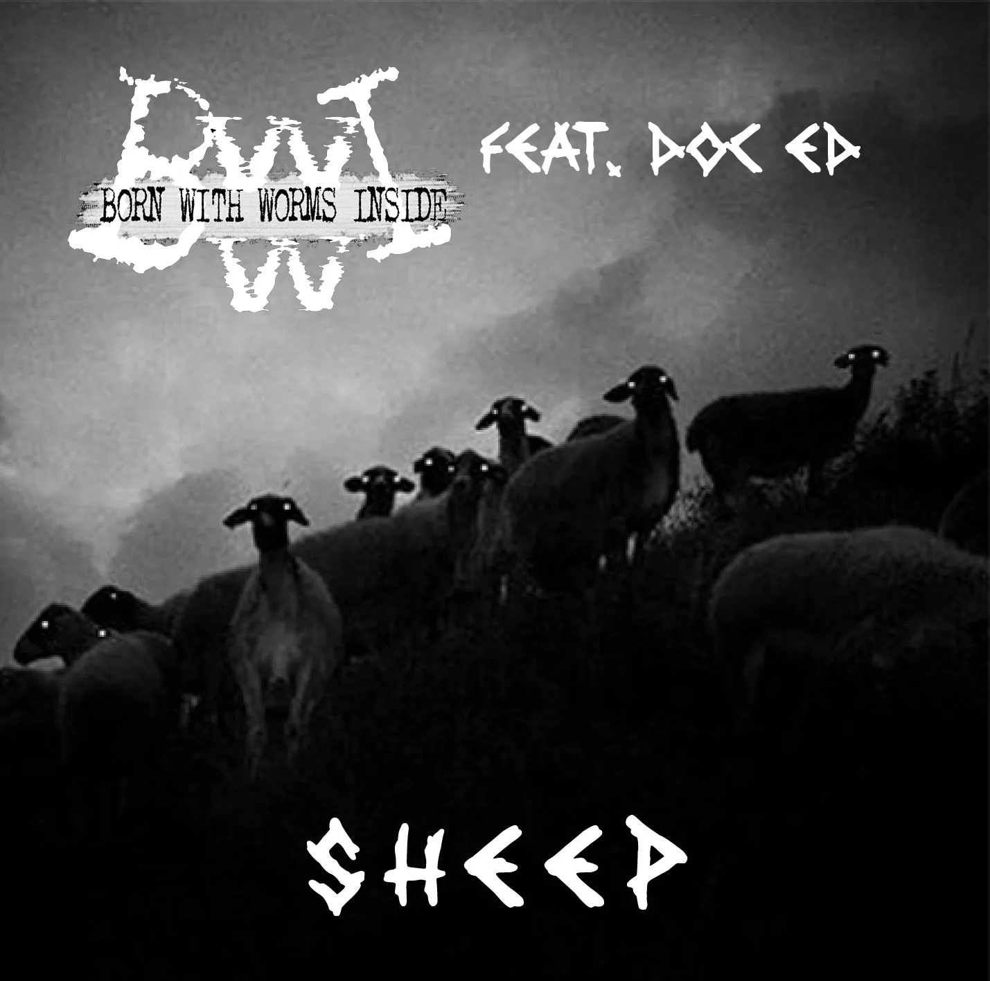 Sheep cover