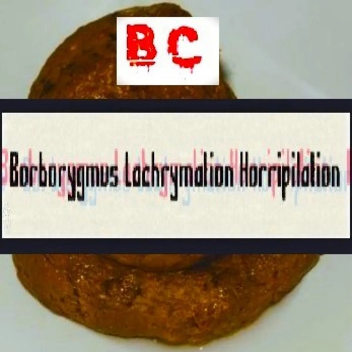 Borborygmus Lachrymation Horripilation (Brown Juice Drip) cover
