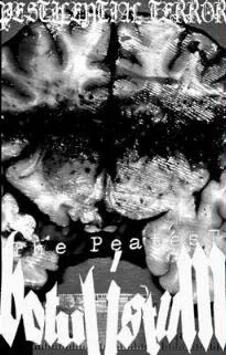 Pestilential Terror cover