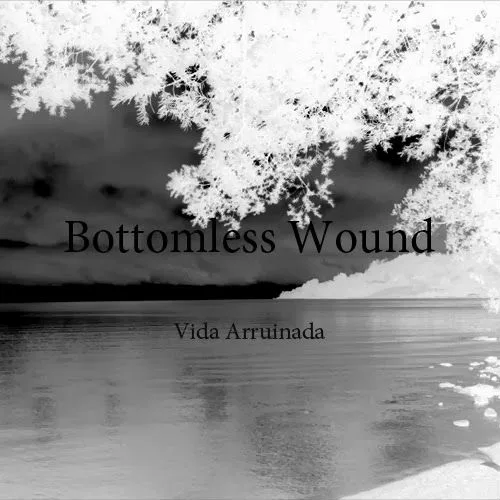 Vida arruinada cover