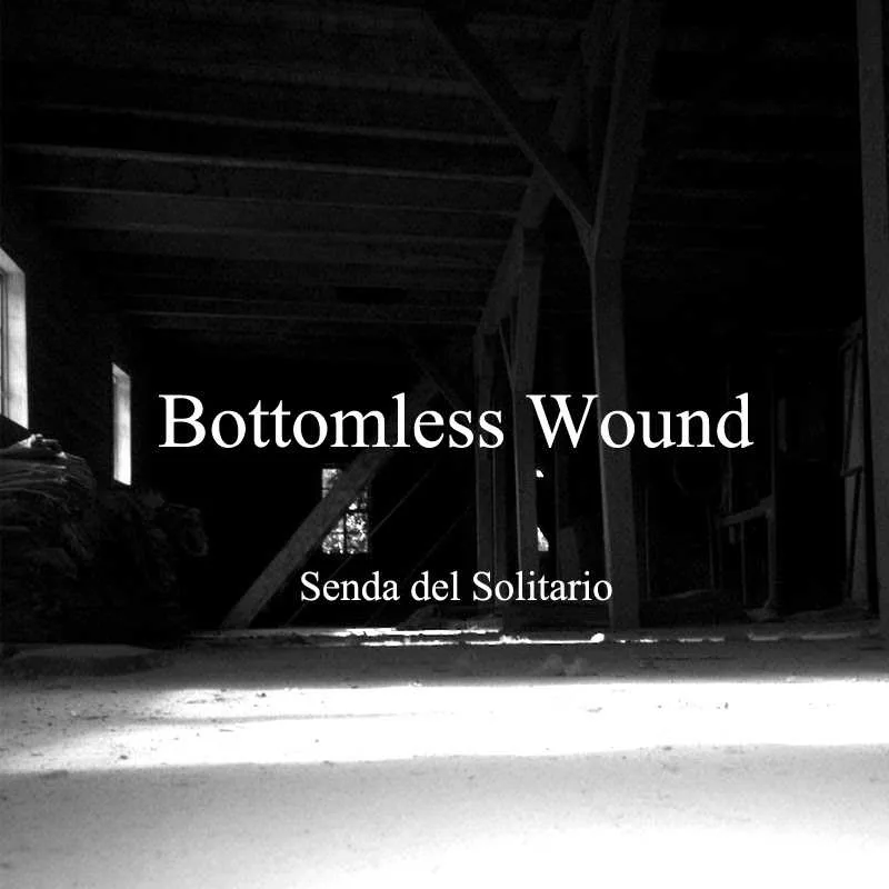 Senda del solitario cover