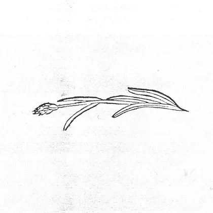 Demo 2 cover