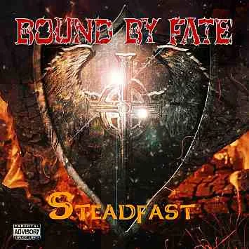 Steadfast cover