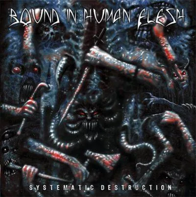 Systematic Destruction cover