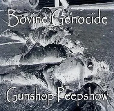 Gunshop Peepshow cover