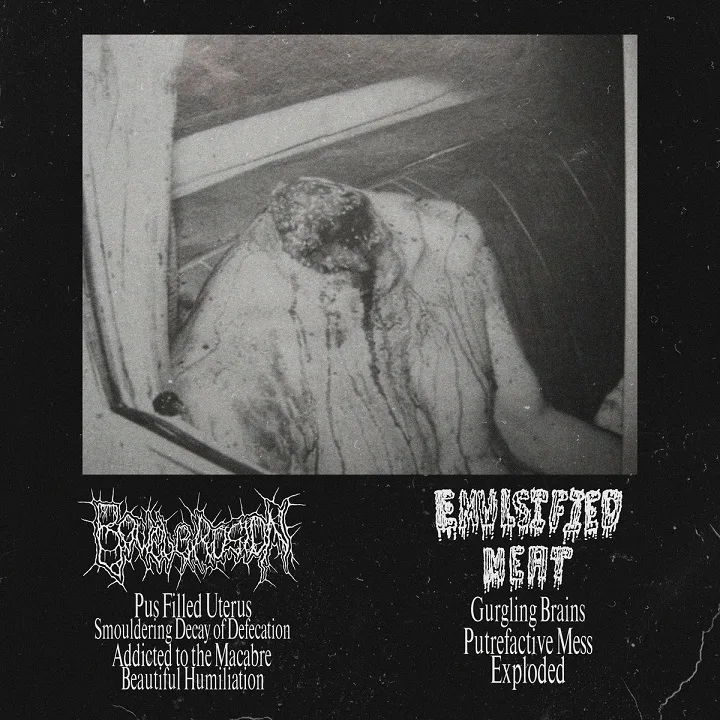 Bowel Erosion / Emulsified Meat cover