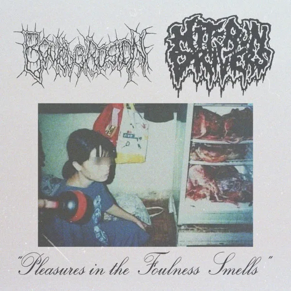 Pleasures in the Foulness Smells cover