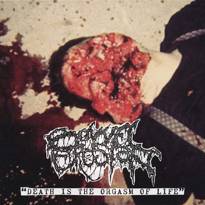 Death Is the Orgasm of Life cover