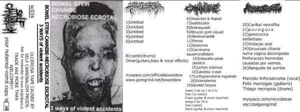 3 Ways of Violent Accidents cover