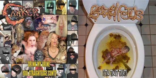 Fetal Toilet Treats / Drink My Urine You Straightedge Cunts cover