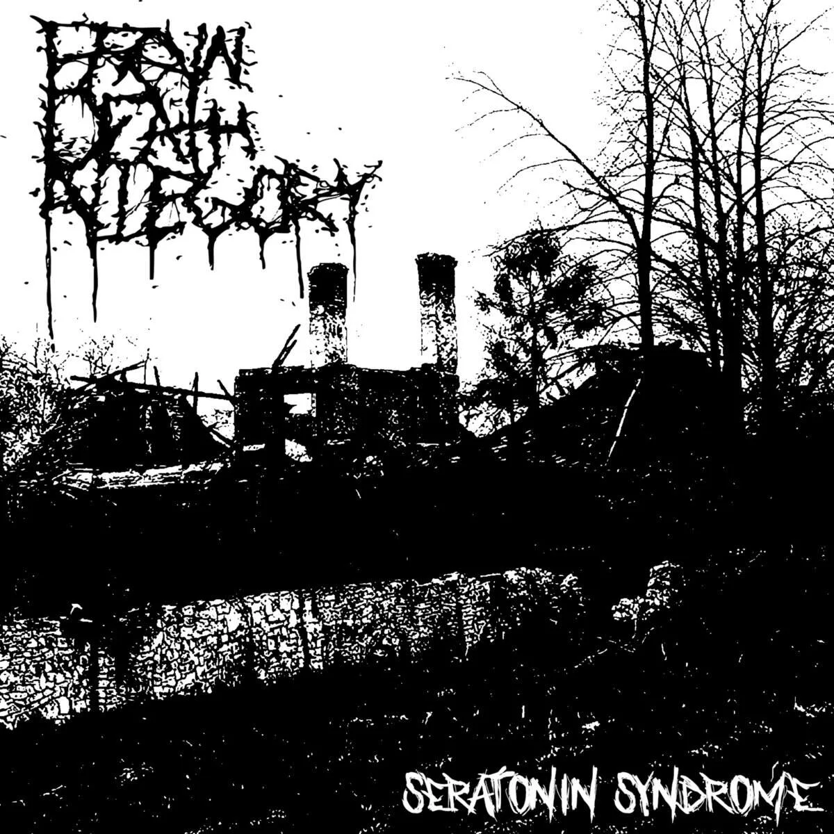 Seratonin Syndrome cover