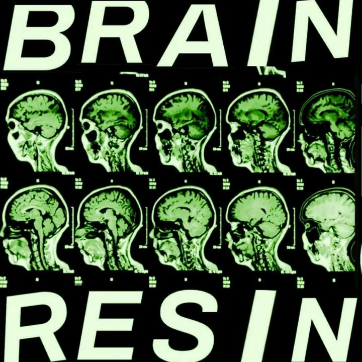 Brain Resin cover