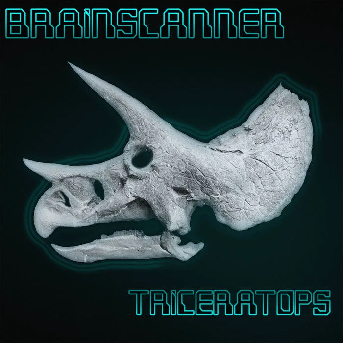 Triceratops cover