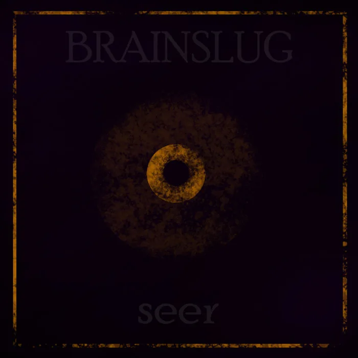 Seer cover