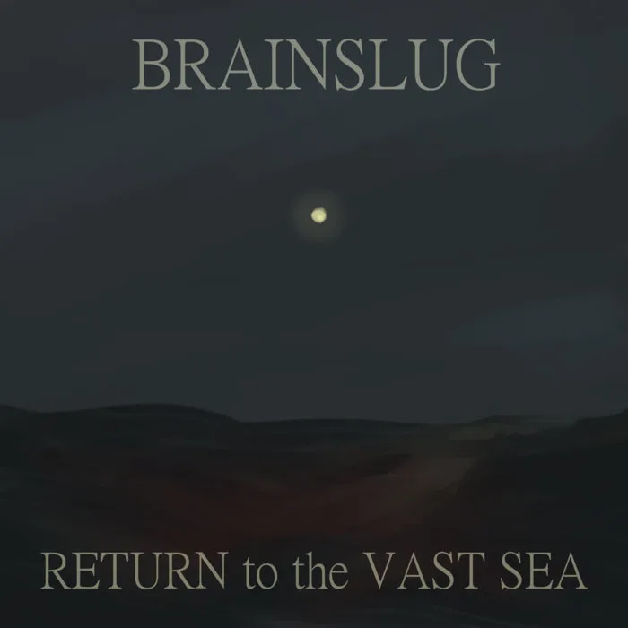 Return to the Vast Sea cover