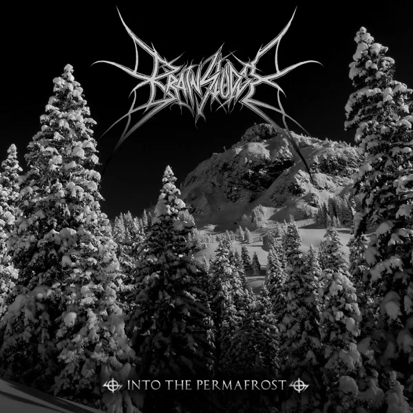 Into the Permafrost cover