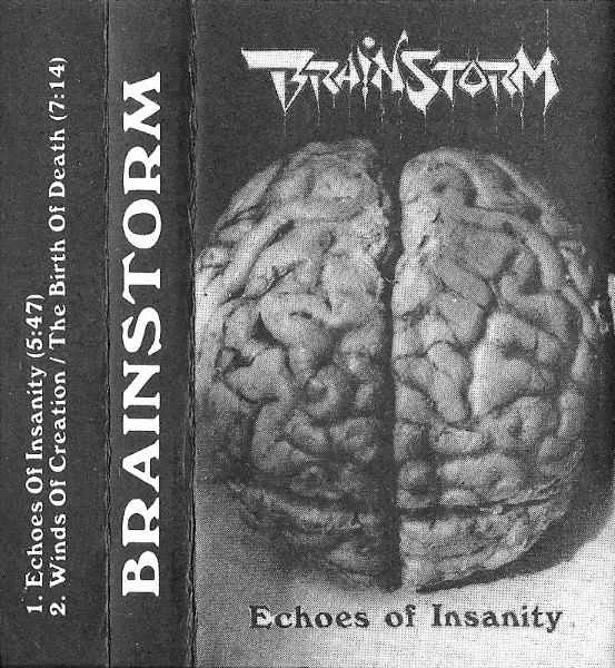 Echoes of Insanity cover