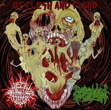 Of Flesh and Fluid cover