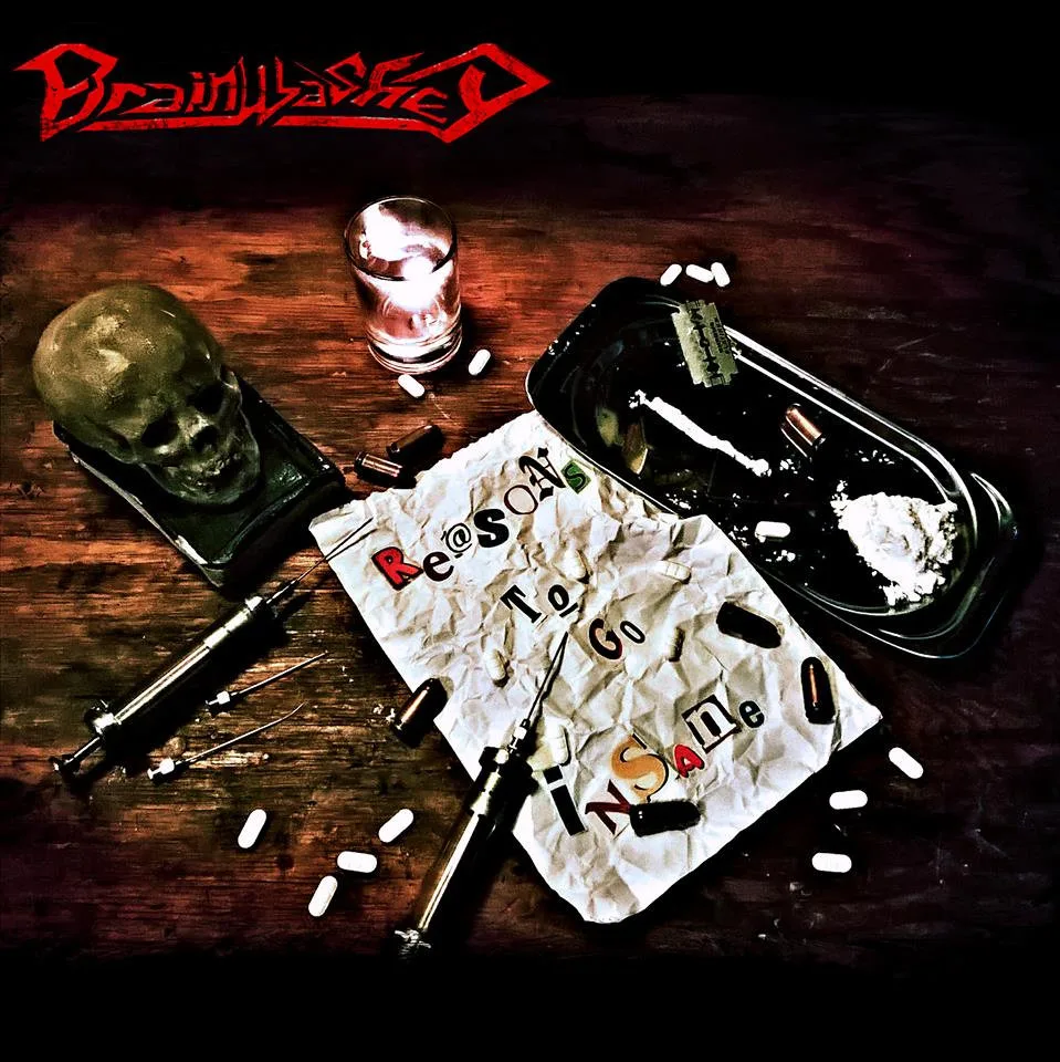 Reasons to Go Insane cover