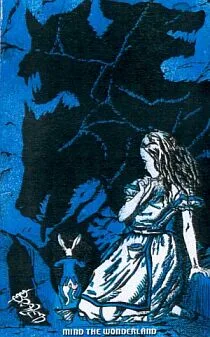 Mind the Wonderland cover