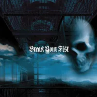 Break Your Fist cover