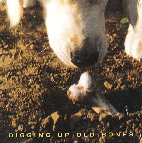 Digging Up Old Bones cover