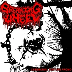 Ceremonial Torture Promo cover