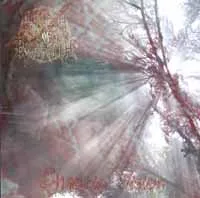 Chaotic Vision cover