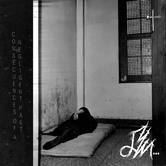 Consecuences of a Negligent Past cover