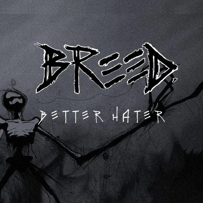 Better Hater cover