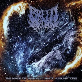 The Maze of the Inaccurate Assumptions cover