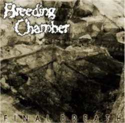 Final Breath cover