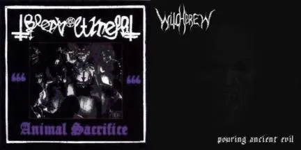 Animal Sacrifice / Pouring Ancient Evil cover