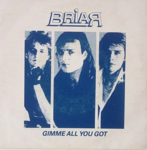 Gimme All You Got cover