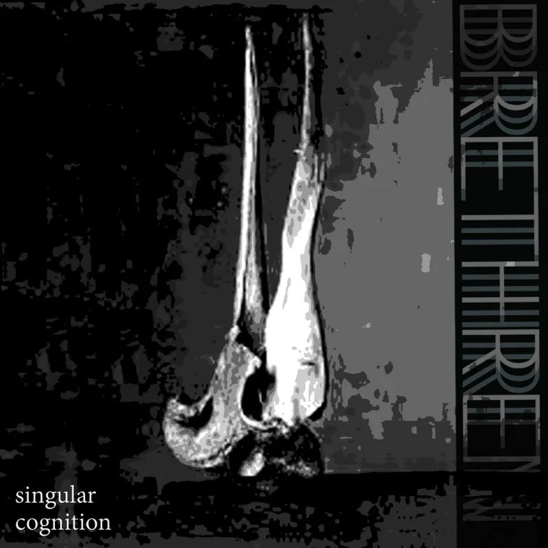 Singular Cognition cover