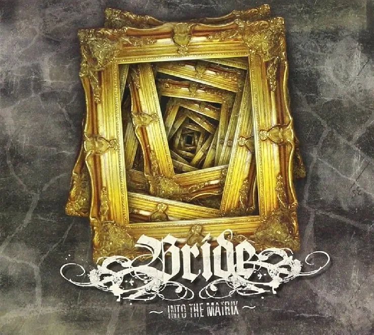 Into the Matrix cover