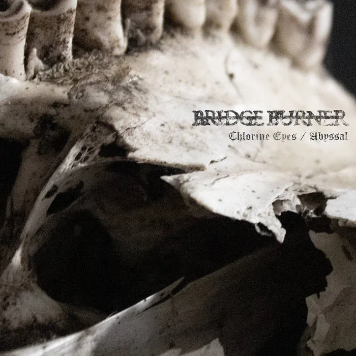 Chlorine Eyes / Abyssal cover