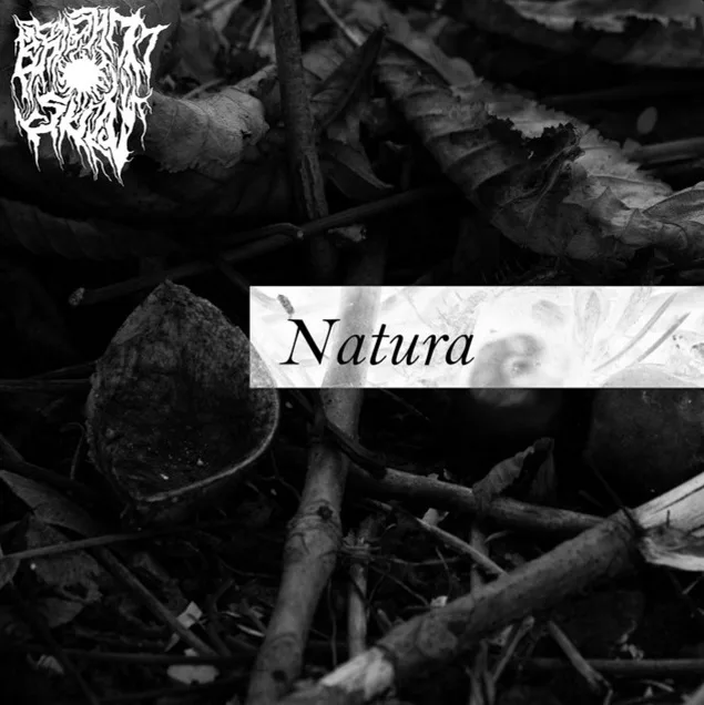 Natura cover