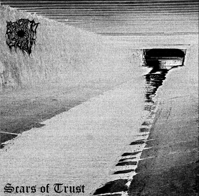 Scars of Trust cover