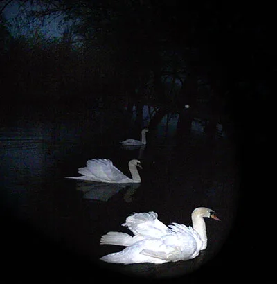 Dreams of Three-Eyed Serpents cover