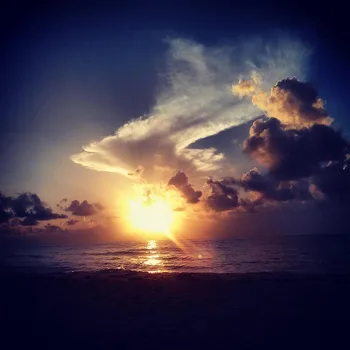 A Candle Set in a Vacant Rib Cage cover