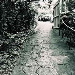 Sounds of a Deaf Owl cover