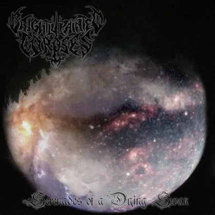 Serenades of a Dying Swan cover