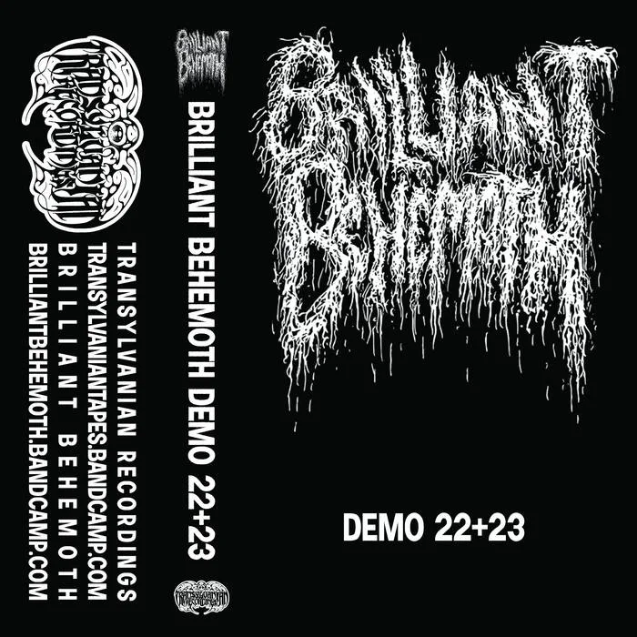 Demo 22+23 cover