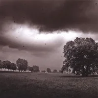 It's All Gone South cover