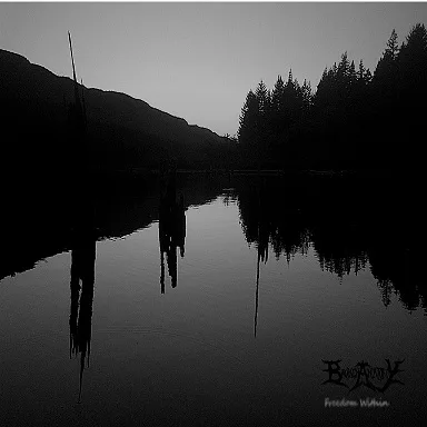 Freedom Within cover