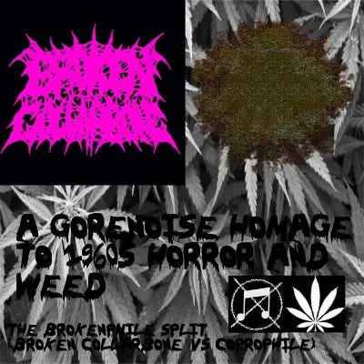 The Brokenphile Split (Broken Collarbone vs Coprophile) cover