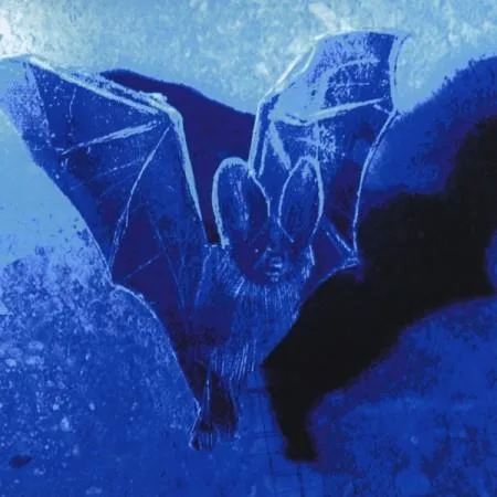 Nocturnal Emissions cover