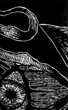 Broken Spirit / Obskuritatem cover